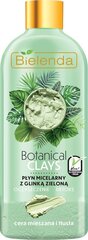 Micelārais ūdens taukainai ādai Bielenda Botanical Clays Vegan Micellar Liquid Oily Skin, 500 ml cena un informācija | Sejas ādas kopšana | 220.lv