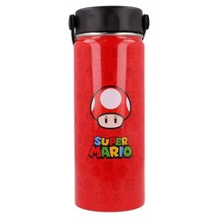 Nintendo Super Mario Bros nerūsējošā tērauda pudele 530ml cena un informācija | Ūdens pudeles | 220.lv