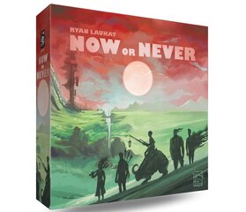 Galda spēle Now or Never, ENG цена и информация | Настольные игры, головоломки | 220.lv