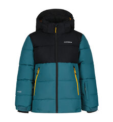 Детская зимняя куртка Icepeak LOUIN JR, цвета морской волны-черная цена и информация | Зимняя одежда для детей | 220.lv