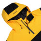 Icepeak vīriešu slēpošanas jaka CHARLTON, jūras zaļa-melna cena un informācija | Vīriešu slēpošanas apģērbs | 220.lv