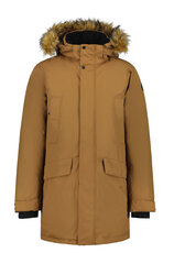Мужская зимняя парка Icepeak ALAMOS, коричневый цвет цена и информация | Мужские куртки | 220.lv