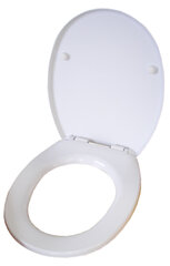 Tualetes poda vāks MA-021AW cena un informācija | Piederumi tualetes podiem un bidē | 220.lv