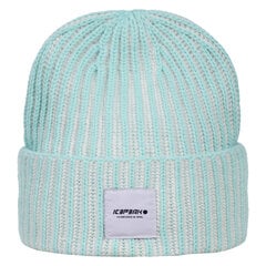 Детская шапка Icepeak HIBBING JR, мятно-зеленая цена и информация | Зимняя одежда для детей | 220.lv