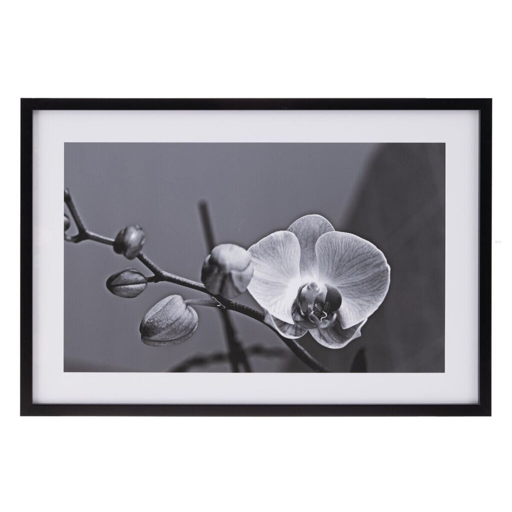 Canvas Orhideja 65 x 2 x 95 cm Zieds cena un informācija | Gleznas | 220.lv