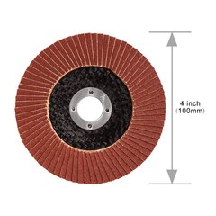 Slīpēšanas disks SPTA Chrupp 100 mm, 10 gab. цена и информация | Механические инструменты | 220.lv