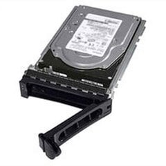 Dell 400-AURS цена и информация | Внутренние жёсткие диски (HDD, SSD, Hybrid) | 220.lv