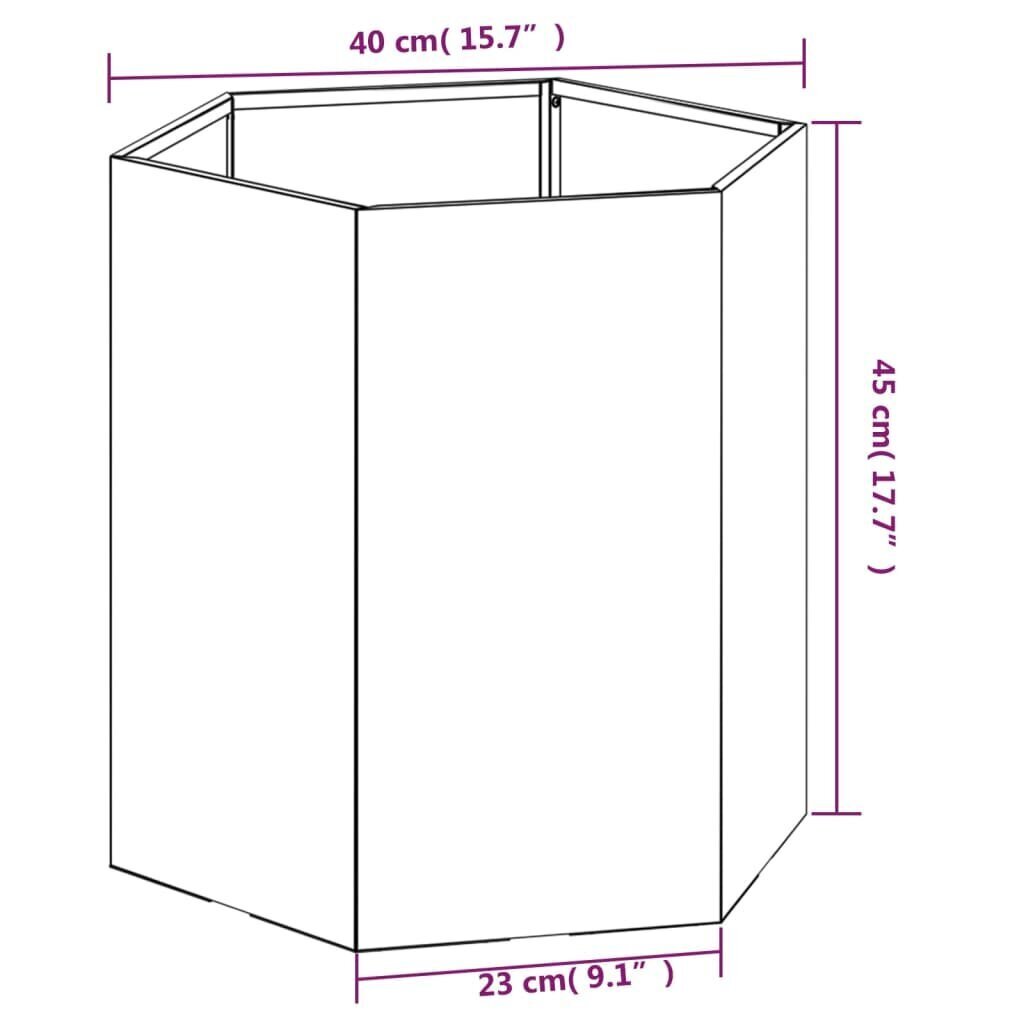 vidaXL dārza puķu kaste, rūsas krāsā, 40x40x45 cm, kortena tērauds cena un informācija | Balkona kastes | 220.lv