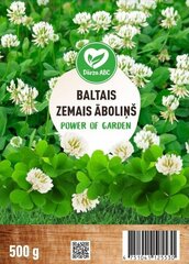 Baltais zemais āboliņš Romena Dārza ABC, 500g цена и информация | Семена для газона | 220.lv