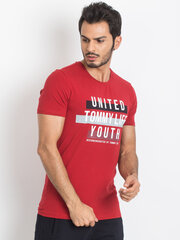 T-krekls, sarkans cena un informācija | Vīriešu T-krekli | 220.lv