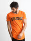 T-krekls, oranžs cena un informācija | Vīriešu T-krekli | 220.lv