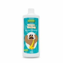 Шампунь с антиоксидантами Ginger Strong Valquer (1000 ml) цена и информация | Шампуни | 220.lv