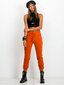 Sporta bikses, tumši oranžā krāsā цена и информация | Sporta apģērbs sievietēm | 220.lv