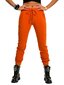 Sporta bikses, tumši oranžā krāsā cena un informācija | Sporta apģērbs sievietēm | 220.lv