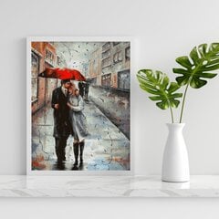Glezna pēc numuriem 40x50 cm. Gleznošanas komplekts - Izkrāso pēc cipariem "Divi zem lietussarga" cena un informācija | Gleznas pēc numuriem | 220.lv