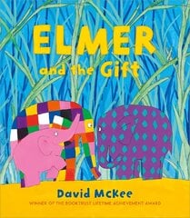 Elmer and the Gift цена и информация | Книги для самых маленьких | 220.lv