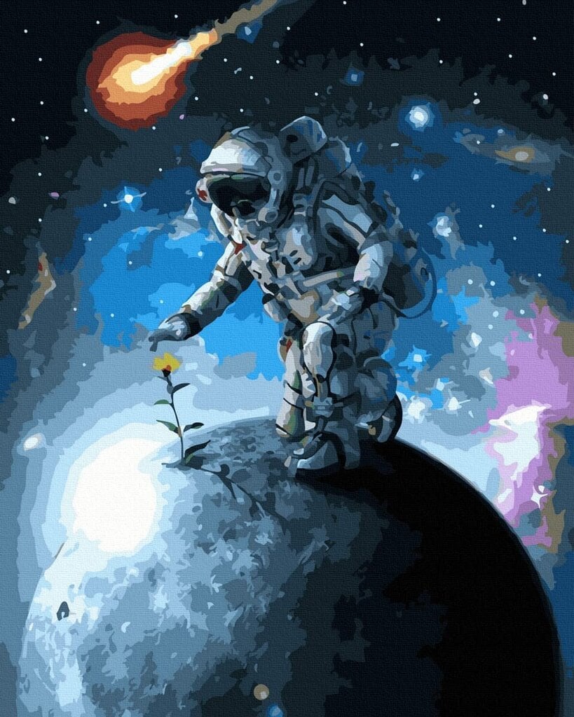 Glezna pēc numuriem 40x50 cm. Gleznošanas komplekts - Izkrāso pēc cipariem "Astronauts uz planētas" cena un informācija | Gleznas pēc numuriem | 220.lv