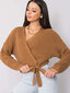 Džemperis, gaiši brūns цена и информация | Sieviešu džemperi | 220.lv