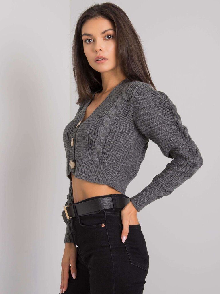 Džemperis, tumši pelēks цена и информация | Sieviešu džemperi | 220.lv