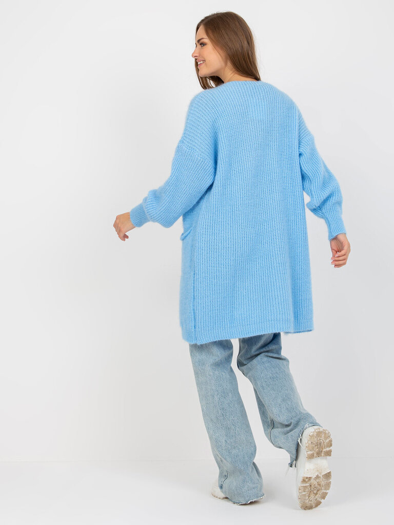 Džemperis, gaiši zils цена и информация | Sieviešu džemperi | 220.lv