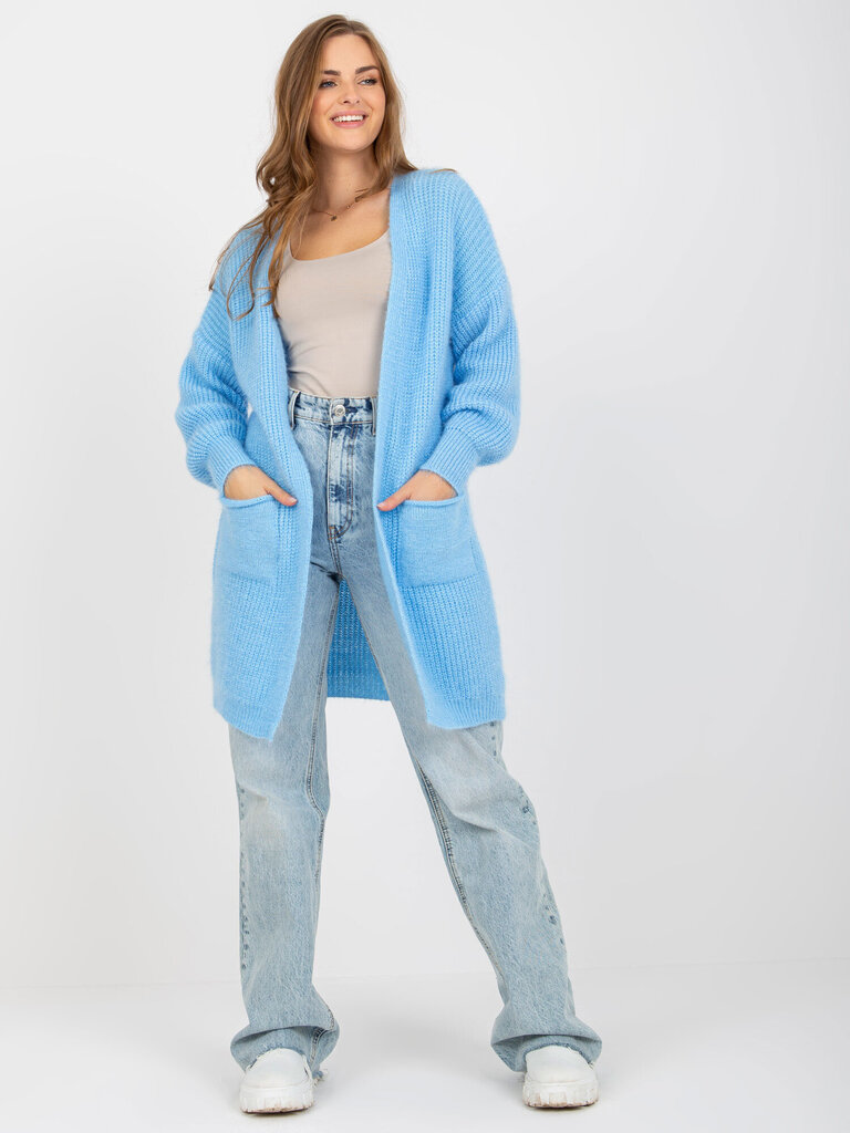 Džemperis, gaiši zils цена и информация | Sieviešu džemperi | 220.lv