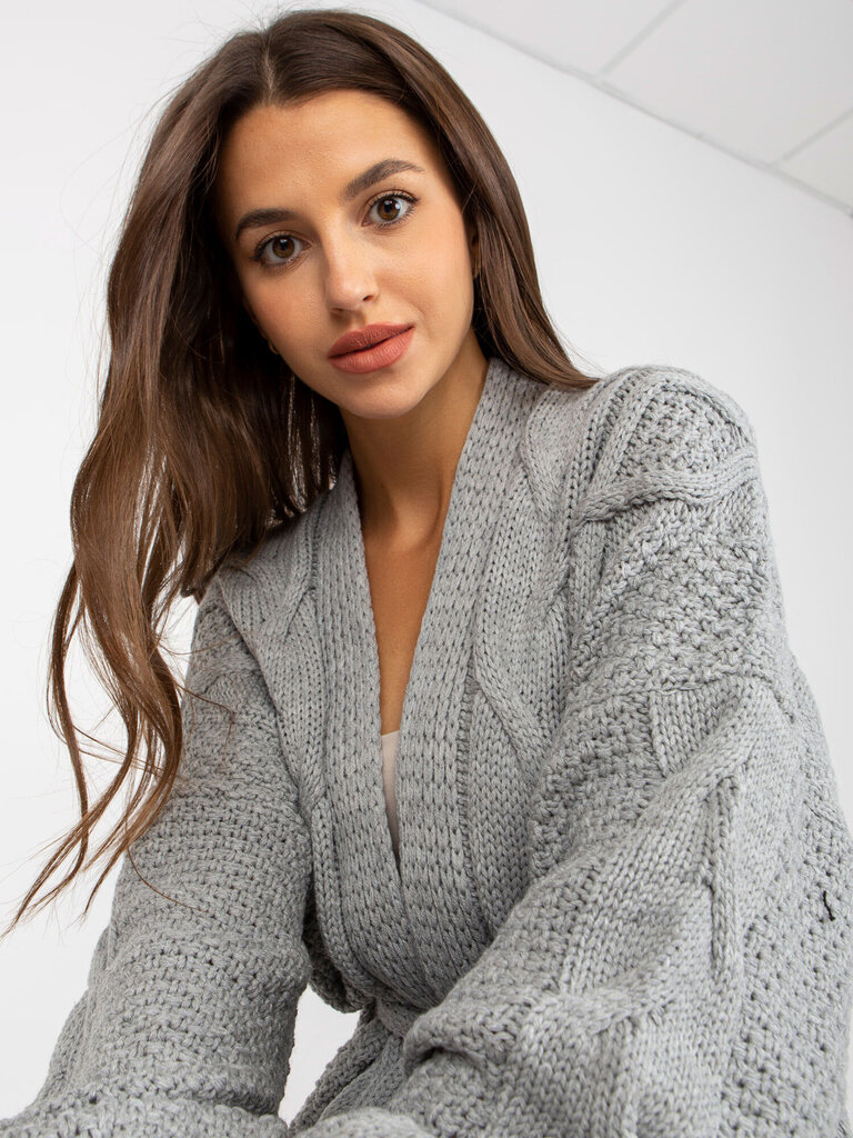 Džemperis, pelēks цена и информация | Sieviešu džemperi | 220.lv