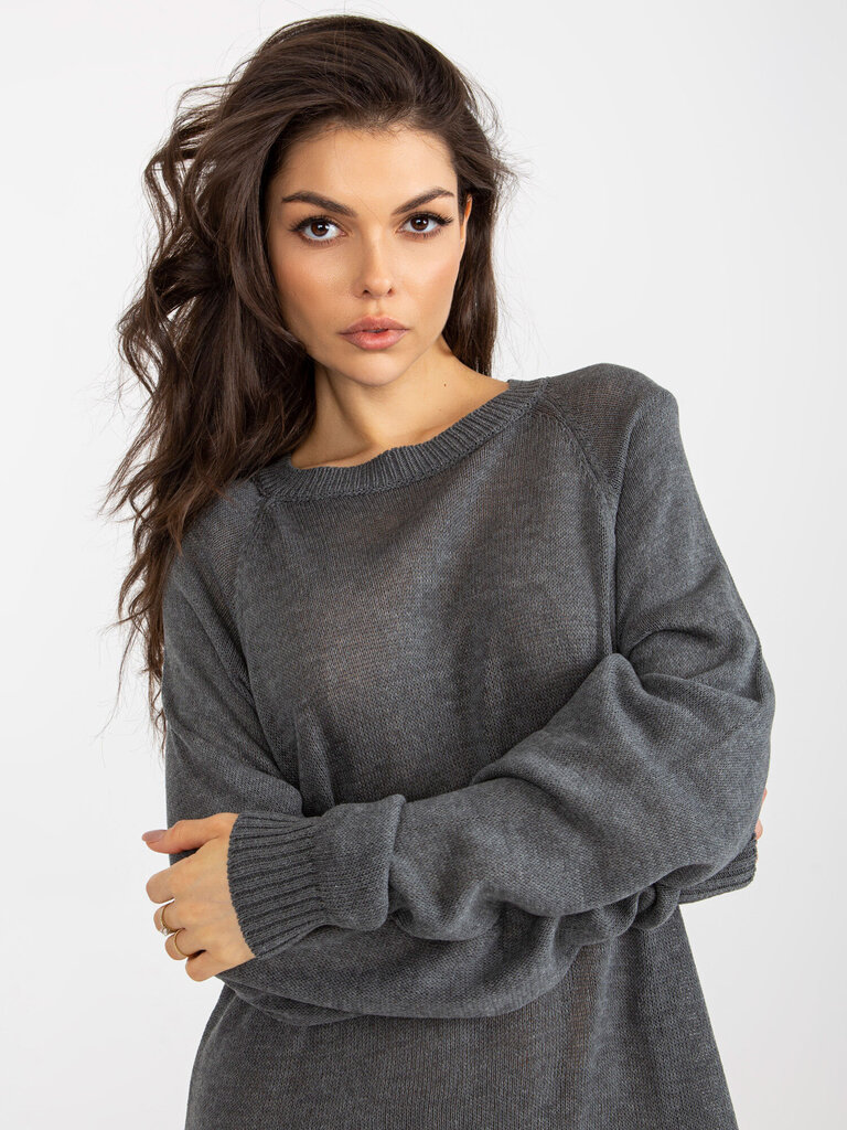 Džemperis, tumši pelēks цена и информация | Sieviešu džemperi | 220.lv