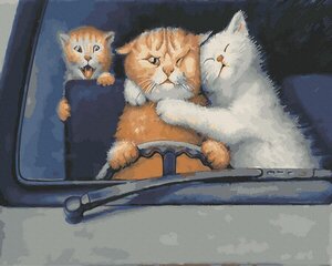 Glezna pēc numuriem 40x50 cm. Gleznošanas komplekts - Izkrāso pēc cipariem "Kaķis mašīnā" cena un informācija | Gleznas pēc numuriem | 220.lv