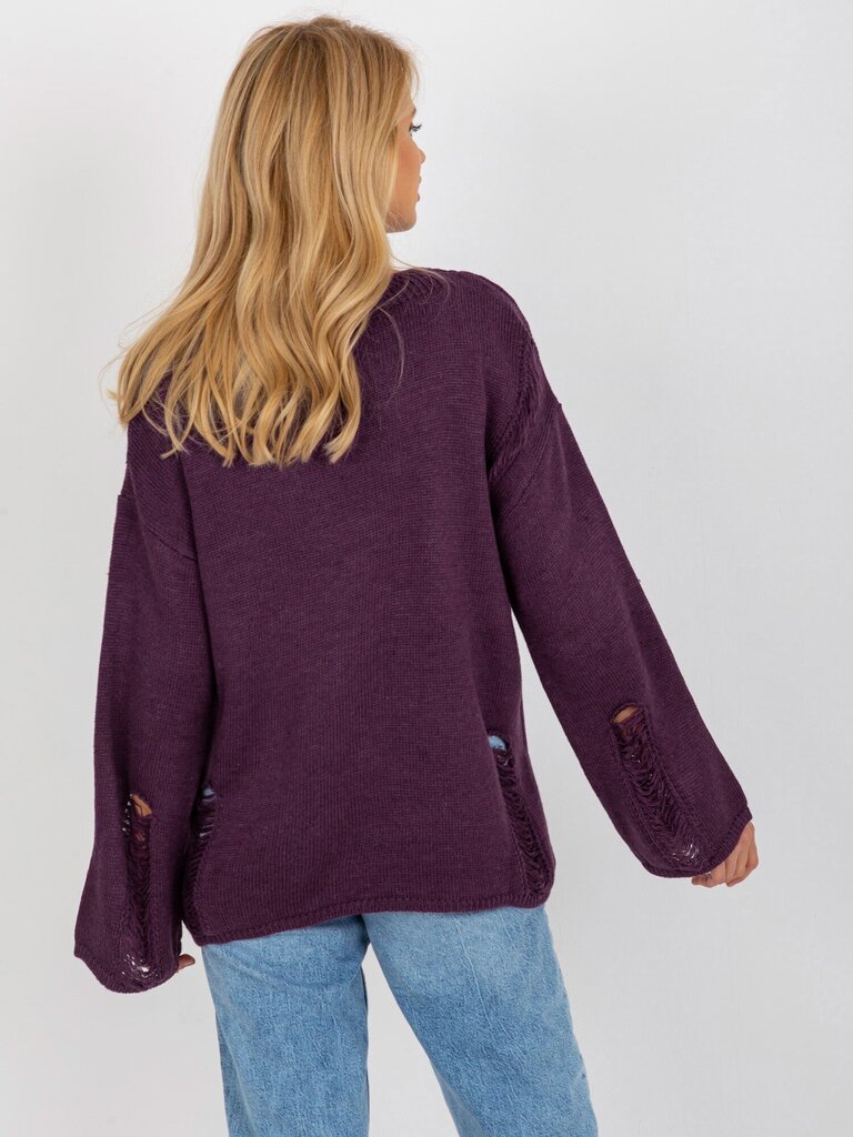 Džemperis, tumši violets цена и информация | Sieviešu džemperi | 220.lv