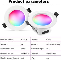 GEYUEYA потолочный светодиодный RGBW, 2700-6500K, 9 Вт, 230В цена и информация | Монтируемые светильники, светодиодные панели | 220.lv