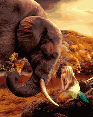 Картина по номерам 40x50 cm.  "Слон и девушка" цена и информация | Живопись по номерам | 220.lv