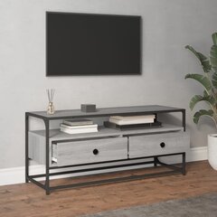 TV plaukts vidaXL, 100x35x45 cm, pelēks цена и информация | Тумбы под телевизор | 220.lv