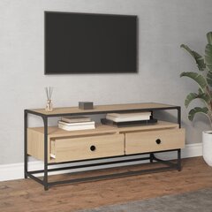 TV plaukts vidaXL, 100x35x45 cm, brūns cena un informācija | TV galdiņi | 220.lv