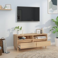 TV plaukts vidaXL, 100x34,5x44,5 cm, brūns cena un informācija | TV galdiņi | 220.lv