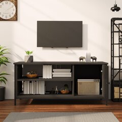TV skapītis vidaXL, 100x40x45 cm, melns cena un informācija | TV galdiņi | 220.lv