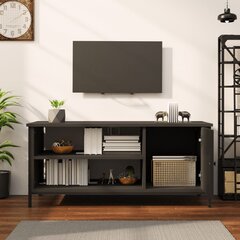 TV skapītis vidaXL, 100x40x45 cm, melns цена и информация | Тумбы под телевизор | 220.lv