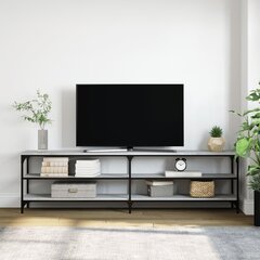 TV skapītis vidaXL, 180x30x50 cm, pelēks cena un informācija | TV galdiņi | 220.lv