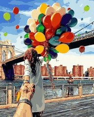 Картина по номерам 40x50 cm.  "Воздушные шары в ваших руках" цена и информация | Живопись по номерам | 220.lv