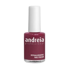 Лак для ногтей Andreia Professional Hypoallergenic Nº 116, 14 мл цена и информация | Лаки для ногтей, укрепители | 220.lv