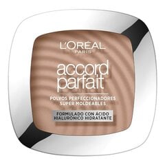 Meikapa bāzes pulveris L'Oreal Make Up Accord Parfait Nº 5.R (9 g) cena un informācija | Grima bāzes, tonālie krēmi, pūderi | 220.lv