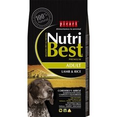 Nutribest Adult Lamb & Rice barība suņiem 15kg cena un informācija | Sausā barība suņiem | 220.lv