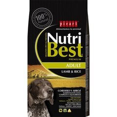 Корм для собак с ягненком и рисом Nutribest Adult, 3 кг цена и информация |  Сухой корм для собак | 220.lv