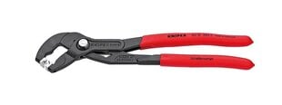 Регулируемые щипцы Knipex, 250 мм цена и информация | Механические инструменты | 220.lv