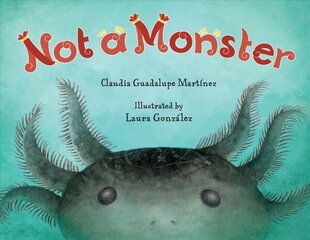 Not A Monster цена и информация | Книги для самых маленьких | 220.lv