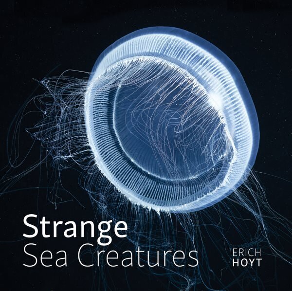Strange Sea Creatures cena un informācija | Grāmatas par veselīgu dzīvesveidu un uzturu | 220.lv