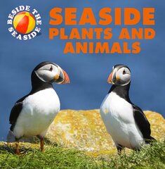 Beside the Seaside: Seaside Plants and Animals Illustrated edition cena un informācija | Grāmatas pusaudžiem un jauniešiem | 220.lv