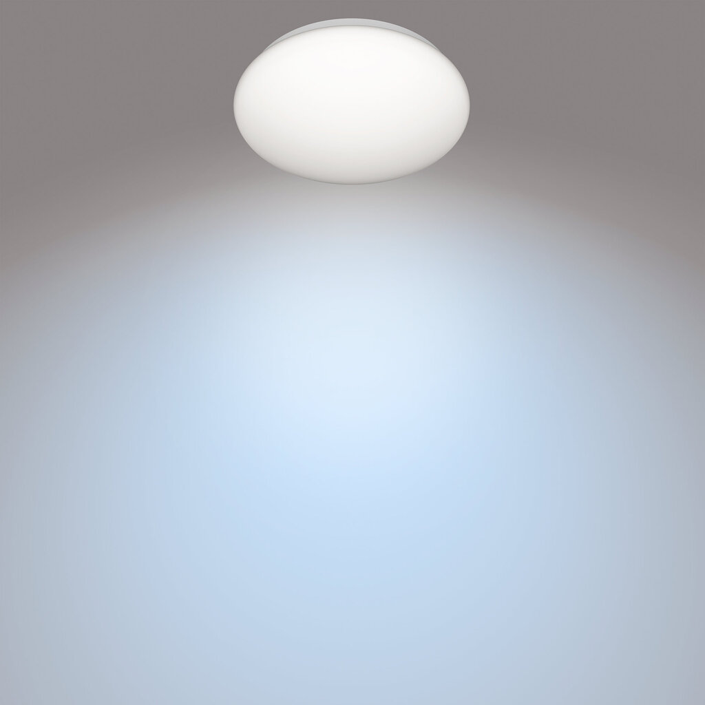 Griestu gaismas Philips Moire Balts 17 W Metāls/Plastmasa (32 x 6,8 cm) (4000 K) cena un informācija | Griestu lampas | 220.lv
