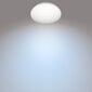 Griestu gaismas Philips Moire Balts 17 W Metāls/Plastmasa (32 x 6,8 cm) (4000 K) cena un informācija | Griestu lampas | 220.lv