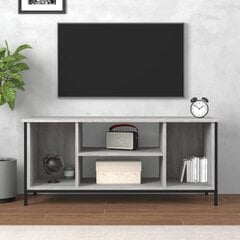 TV skapītis vidaXL, 102x35x45 cm, pelēks cena un informācija | TV galdiņi | 220.lv