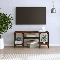 TV skapītis vidaXL, 102x35,5x47,5cm, brūns цена и информация | Тумбы под телевизор | 220.lv